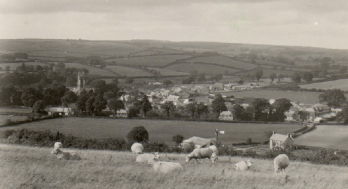 view of Cattistock village