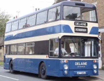 Delaine Heritage 72