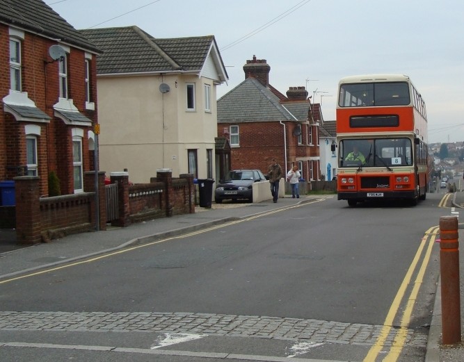 Shamrock in Albert Road, March 2010