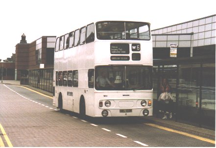 whitebus